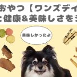 【ワンズデイリー】　アイキャッチ